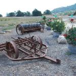 cambria2012_0026 (November 02, 2012)